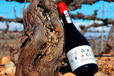 ConGracia_870px_580px24