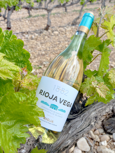 RV 1882 BLANCO (9)