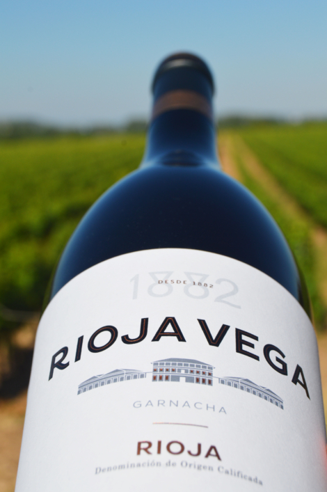 RV 1882 TINTO (10)