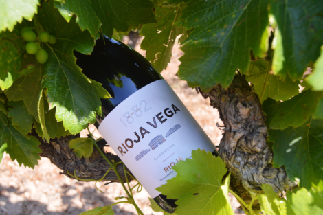 RV 1882 TINTO (4)