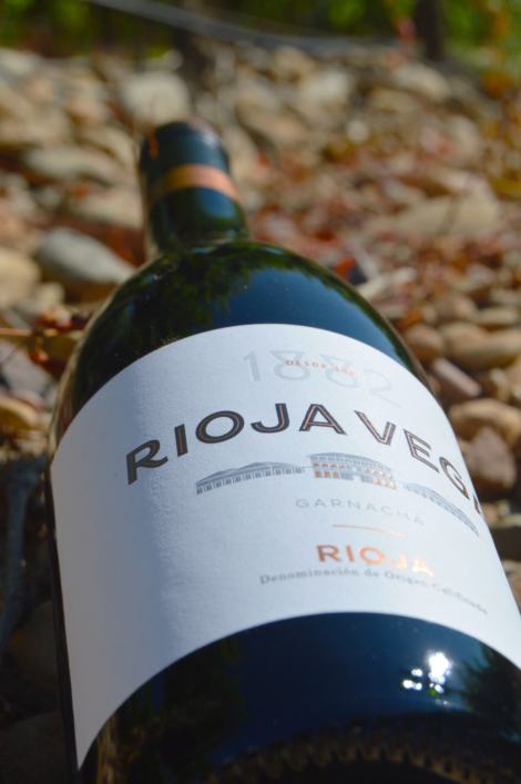 RV 1882 TINTO (9)